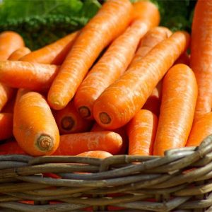 Rozvy Carrots